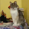 Отзыв от Яна Белоусова